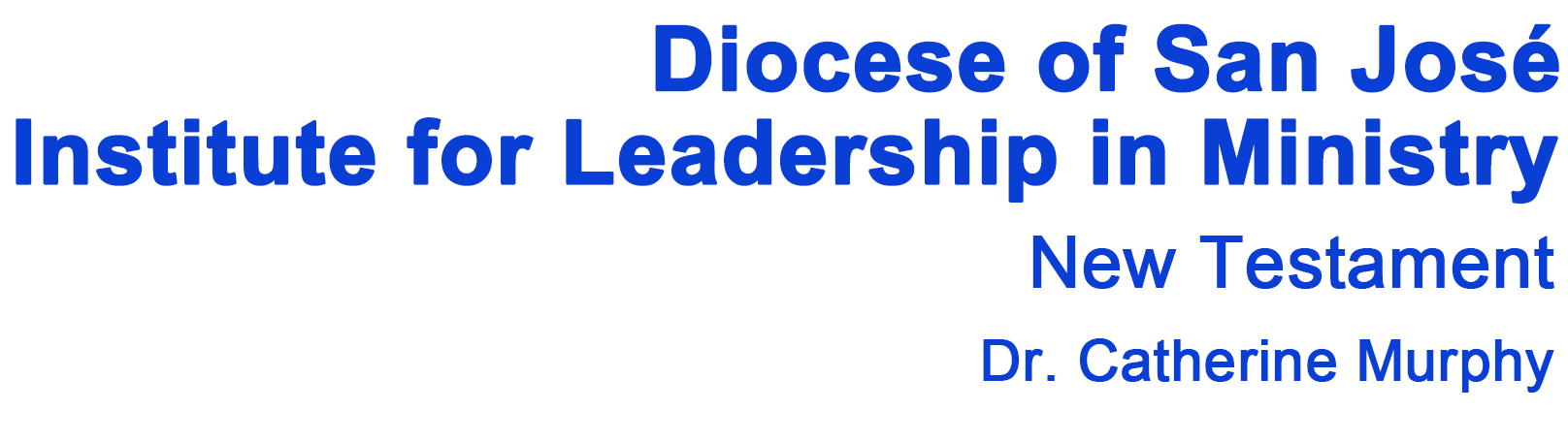 Diocese of San José, Institute for Leadership in Ministry